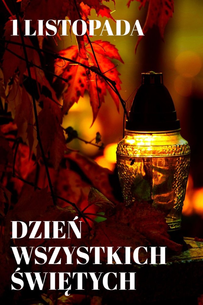 123408893 2759455947645021 3040186560424452719 o